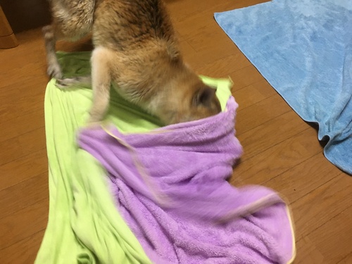 c0123890_21131249.jpg