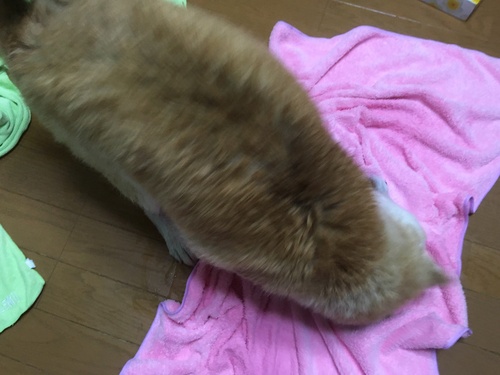 c0123890_2183262.jpg