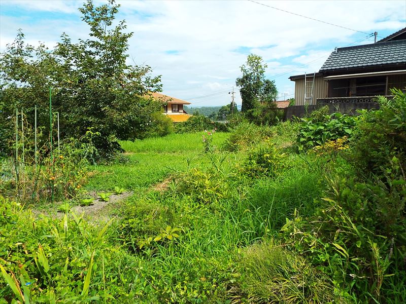 c0108198_15434724.jpg