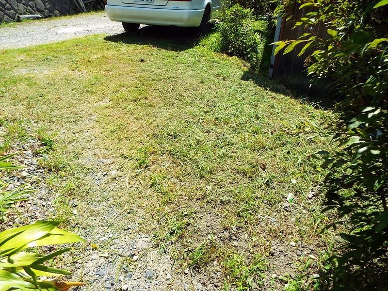 c0108198_15474915.jpg