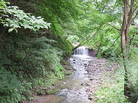 d0046702_4364827.jpg