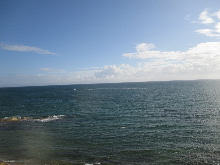 e0242504_22165607.jpg