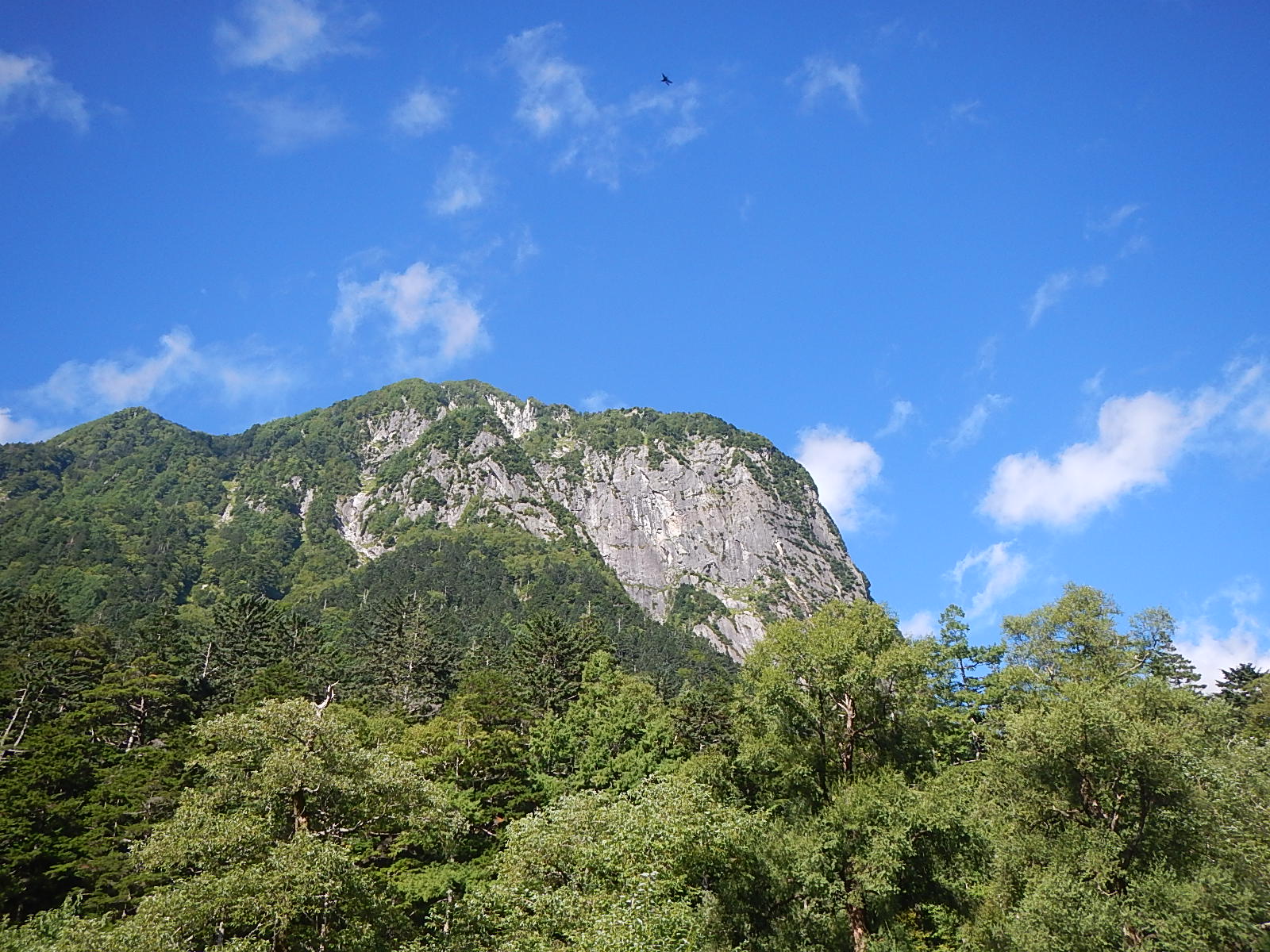 d0296106_2240162.jpg