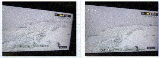 f0231709_8572775.gif