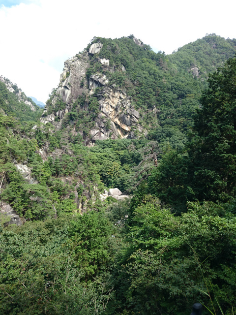 f0100911_21460551.jpg