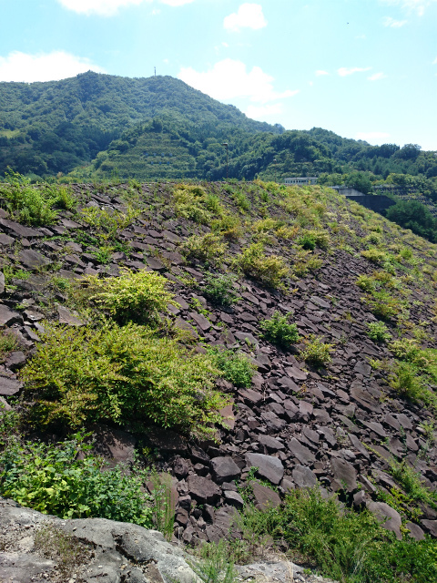 f0100911_21494157.jpg