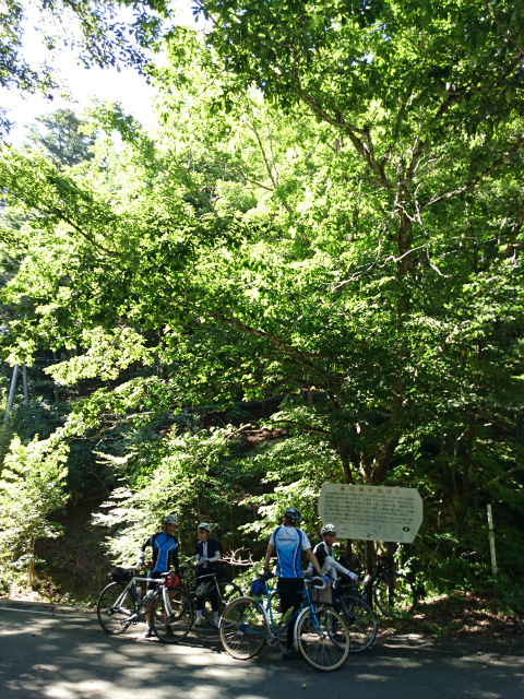 f0100911_21504306.jpg