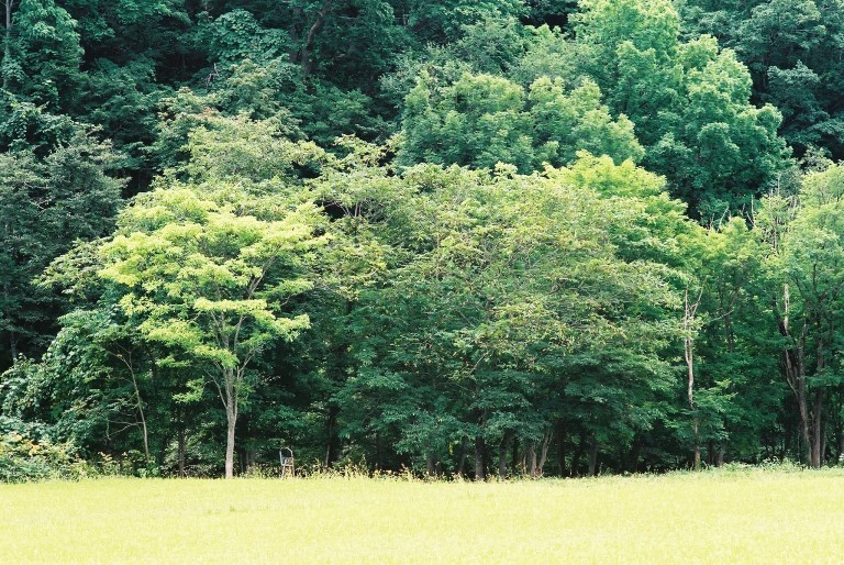 f0362725_18221653.jpg
