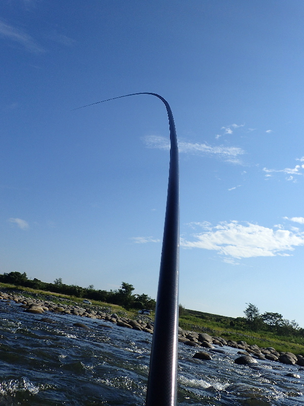f0103126_20431579.jpg