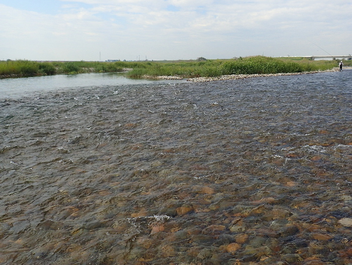 f0103126_20514667.jpg