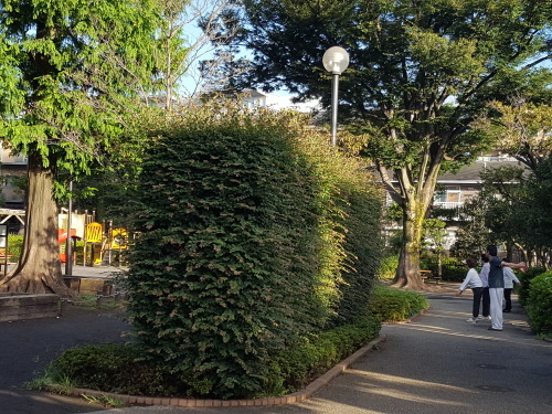 e0016828_10575208.jpg