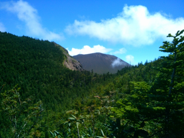 d0107938_9341215.jpg