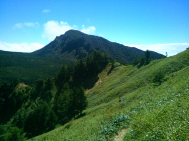 d0107938_938351.jpg