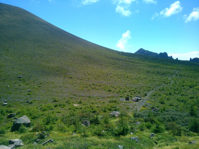 d0107938_949377.jpg
