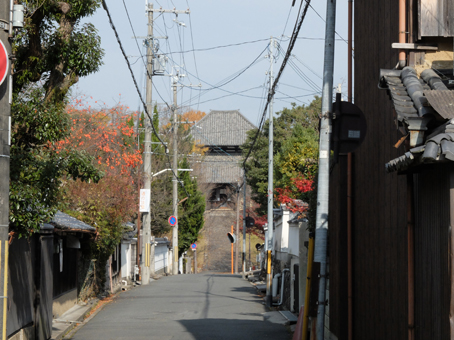 a0100742_1631810.jpg