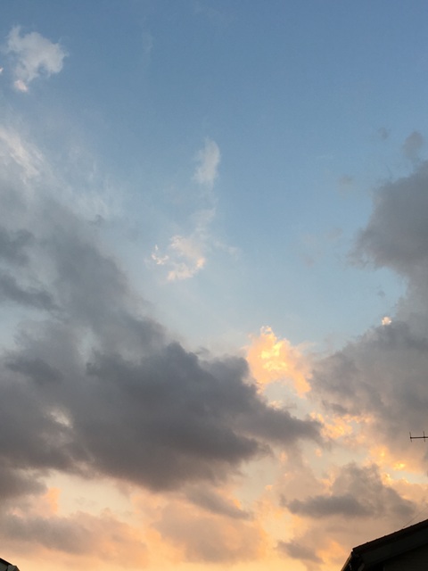 c0141844_22415021.jpg