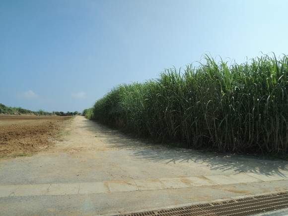 d0142944_23222010.jpg