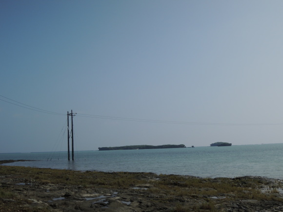 d0142944_23222247.jpg