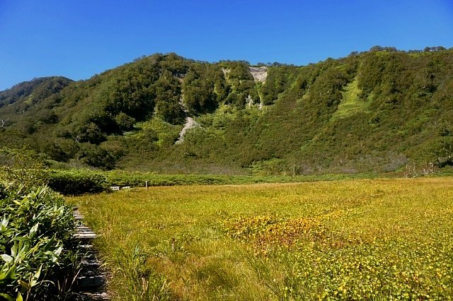 b0122448_18050054.jpg