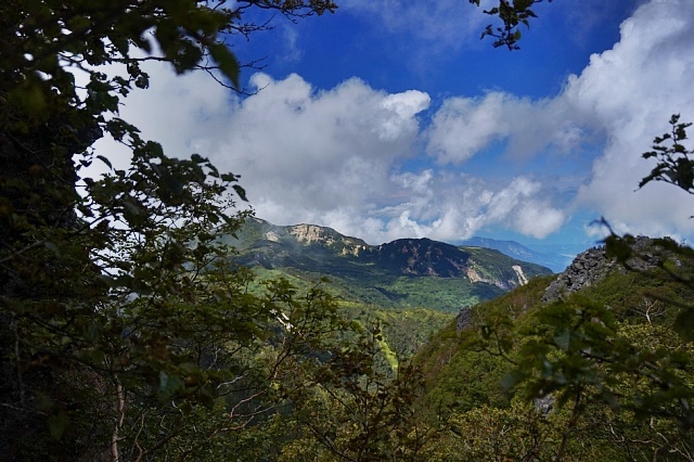 b0122448_18050882.jpg