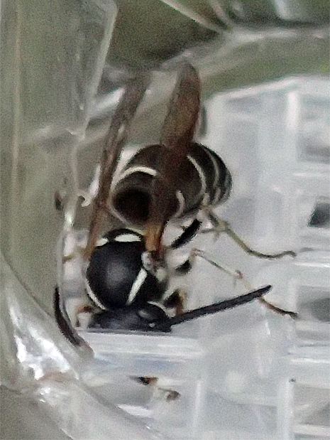 f0214649_2104176.jpg