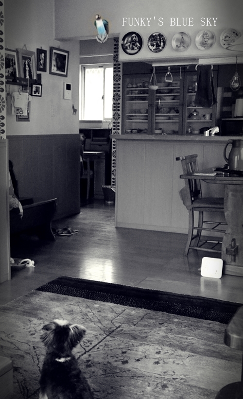 c0145250_16221599.jpg
