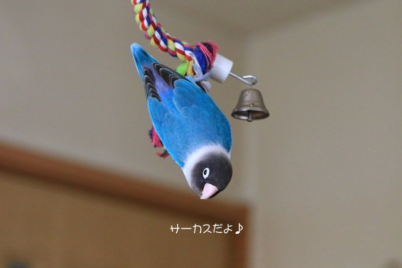 c0145250_16221843.jpg