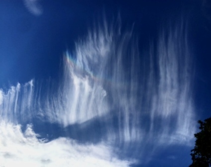 b0173754_14431726.jpg