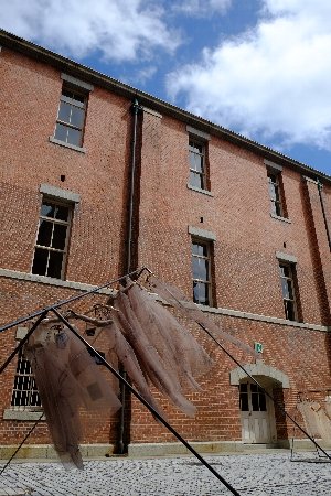 f0035962_910532.jpg