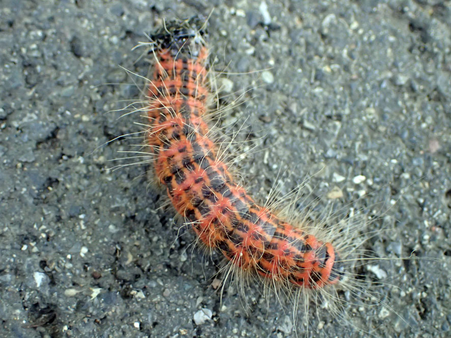 f0131669_12355730.jpg