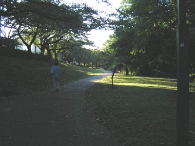 c0112172_23392855.jpg