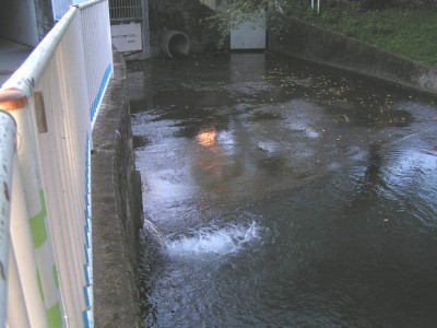c0112172_2339329.jpg