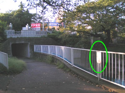 c0112172_2339398.jpg