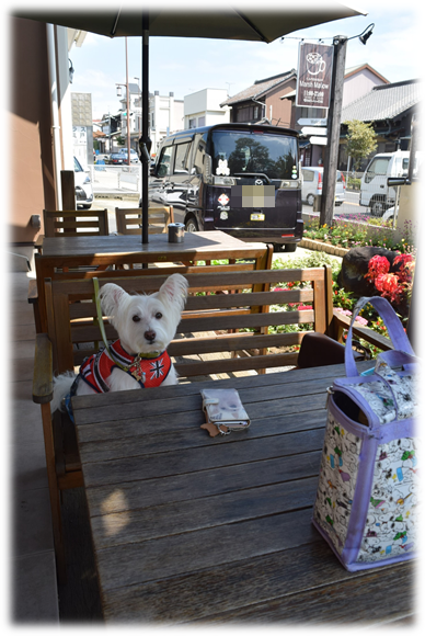 b0242873_00195448.png