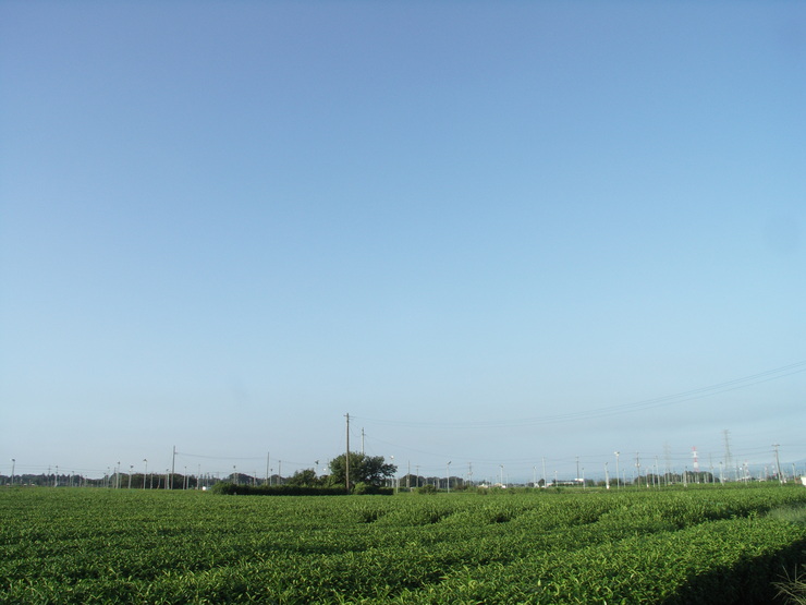d0225575_21485920.jpg