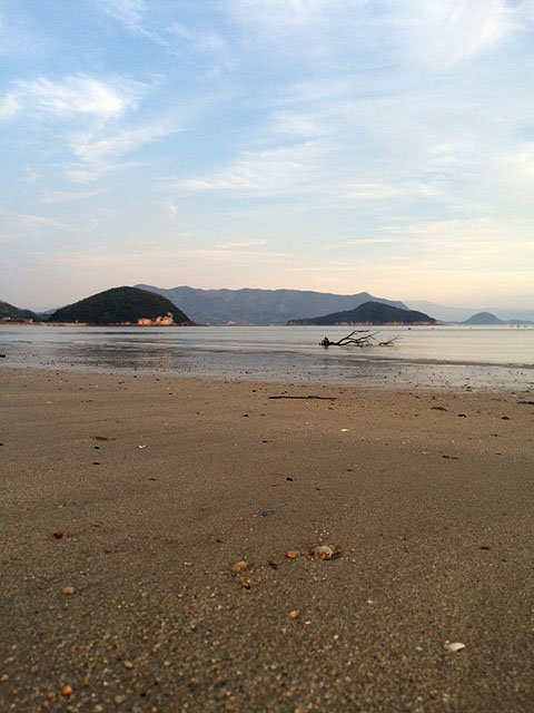 f0056476_162465.jpg
