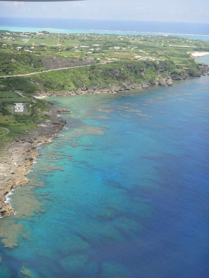 f0238779_1330398.jpg