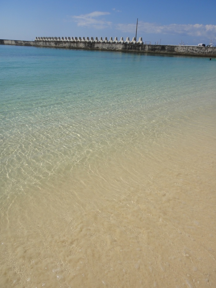 f0238779_13353686.jpg