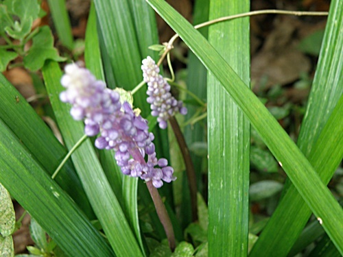 e0086885_15203977.jpg