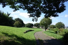 d0183387_11384241.jpg