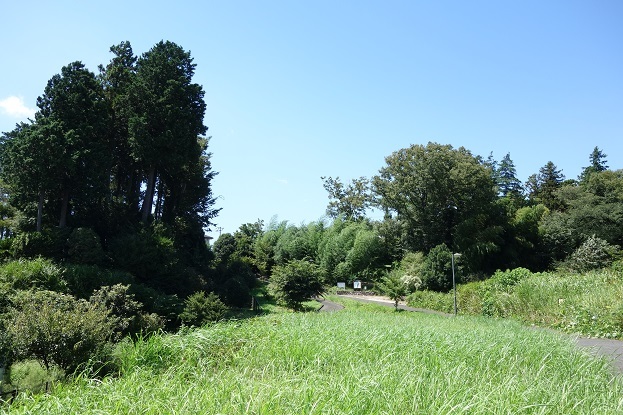 d0183387_16005301.jpg