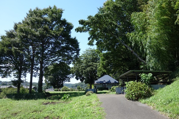 d0183387_17424368.jpg