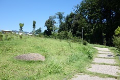 d0183387_17471531.jpg