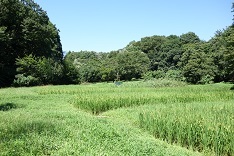 d0183387_17565919.jpg