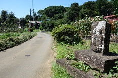 d0183387_20084879.jpg