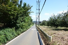 d0183387_20085272.jpg