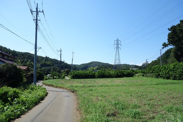 d0183387_21472186.jpg