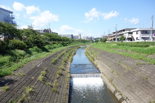 d0183387_23221510.jpg