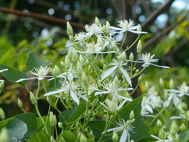 f0357487_17101190.jpg