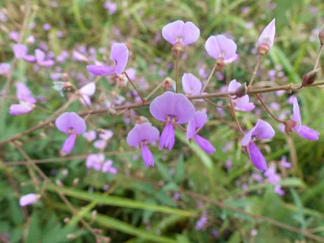 f0357487_178213.jpg